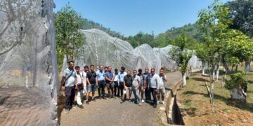 SILK PANGANG KHAWI HMANGIN ZORAMTHAR SIAM ANG AW… – Kapliana Pachuau, Journalist